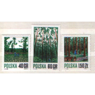 Zn. Fi 1920 - 2 ** 1971