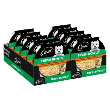 Cesar Fresh Bowls - Kurczak w sosie (40 x 85 g)