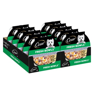 Cesar Fresh Bowls - Kaczka w sosie (20 x 85 g )