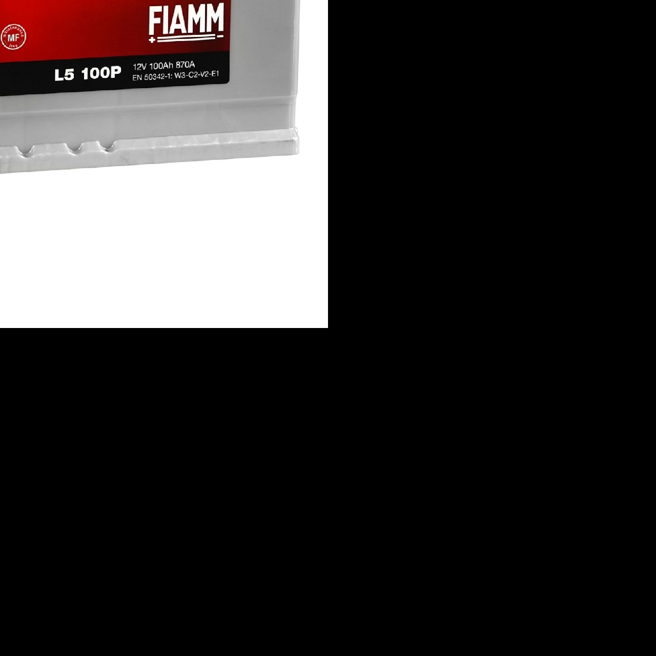 Akumulator 100Ah 870A FIAMM