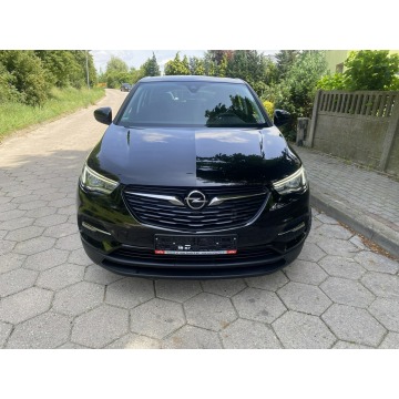 Opel Grandland X  SUV 2018,  1.6 diesel - Na sprzedaż za 56 999 zł - Gostyń - zdjęcie 2