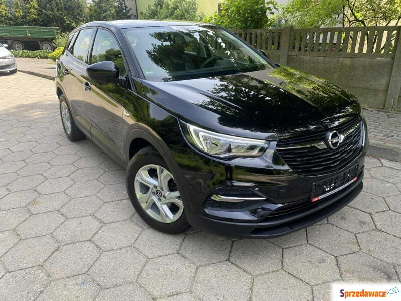 Opel Grandland X  SUV 2018,  1.6 diesel - Na sprzedaż za 56 999 zł - Gostyń