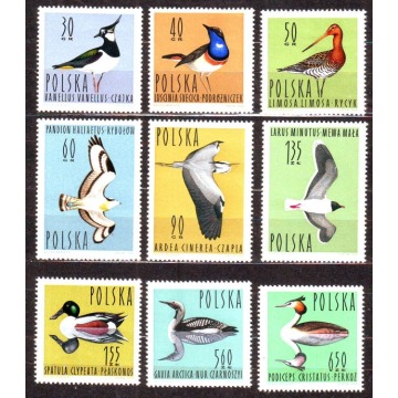 Polska Zn. Fi -  wykaz w opisie ** 1964