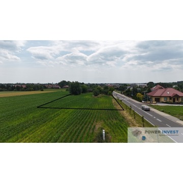 Sprzedam dom Rydzyna - ,  pow.  180 m2,  działka:   5282 m2 - zdjęcie 5