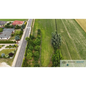Sprzedam dom Rydzyna - ,  pow.  180 m2,  działka:   5282 m2 - zdjęcie 4