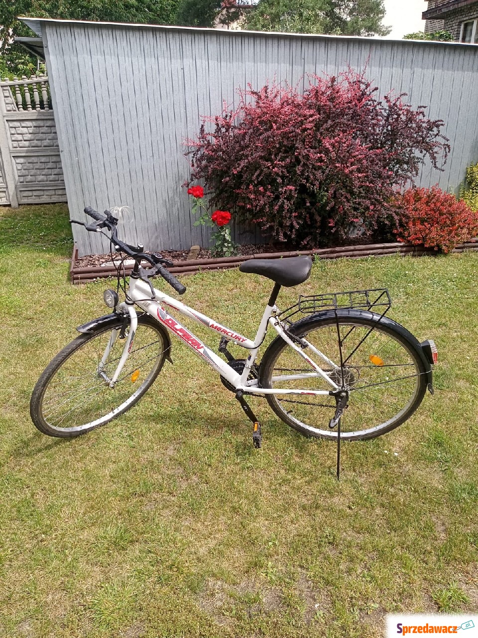 Rower Orplan Mercury 28"