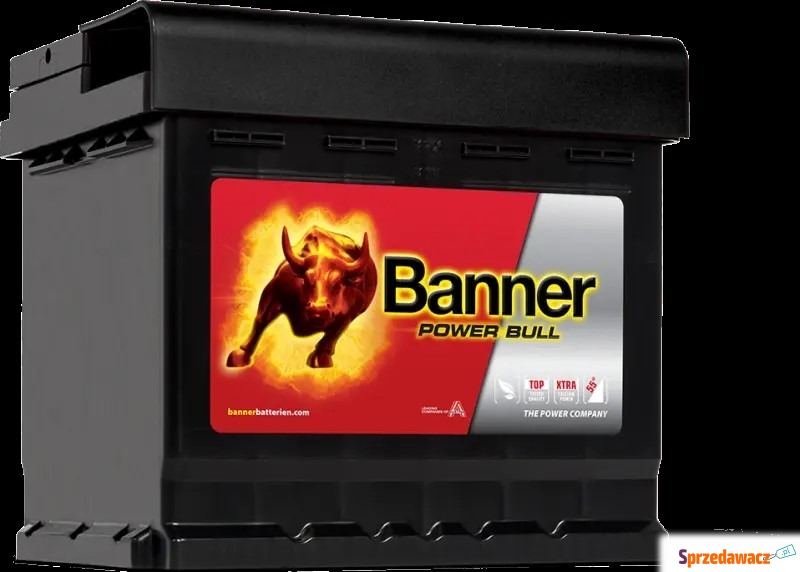 Akumulator 12V 50Ah 450A Banner...