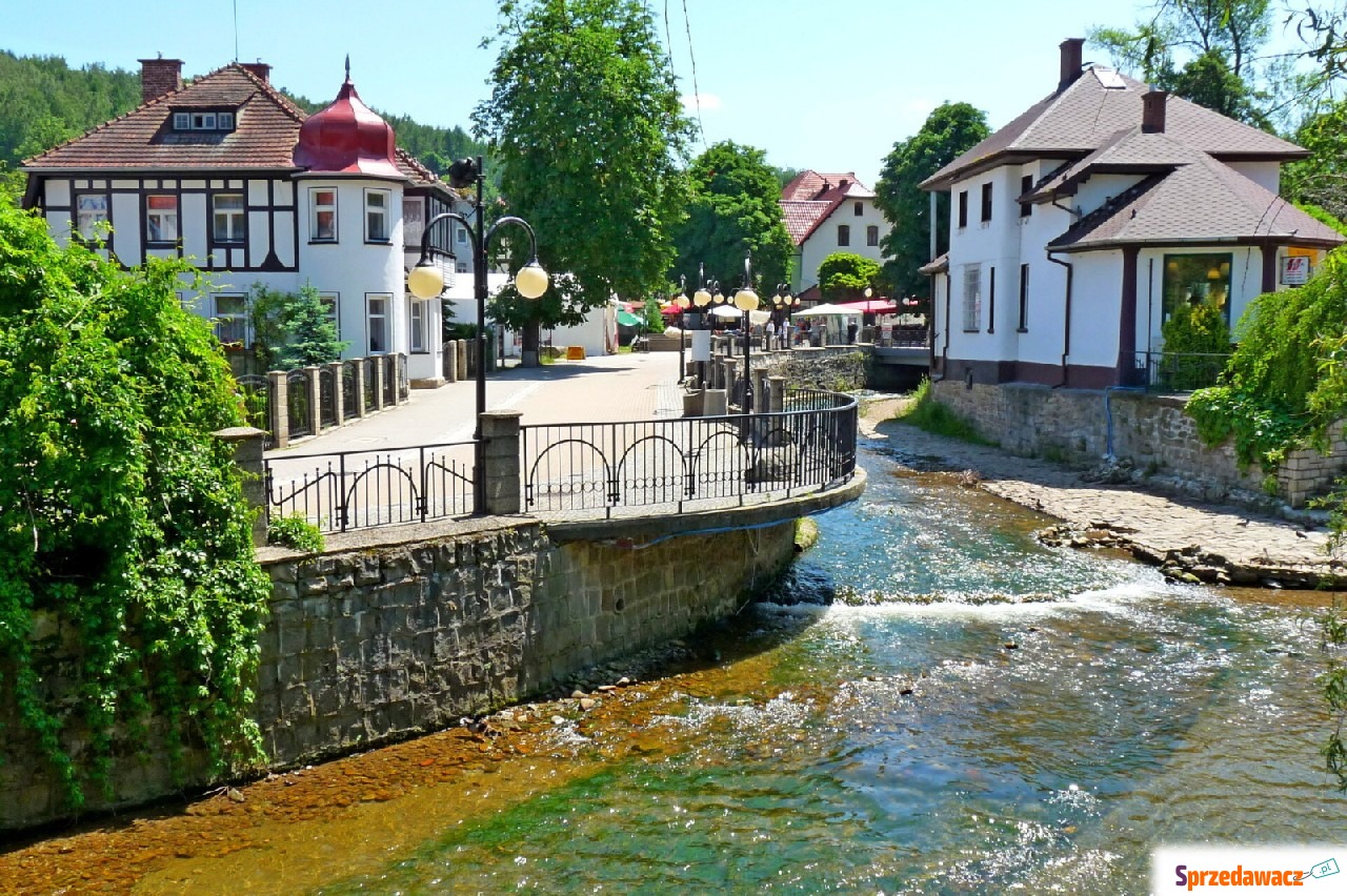 Działka (6000 m2) Polanica-Zdrój