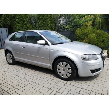 Audi A3 2007,  1.9 diesel - Na sprzedaż za 16 900 zł - Strzegom - zdjęcie 4