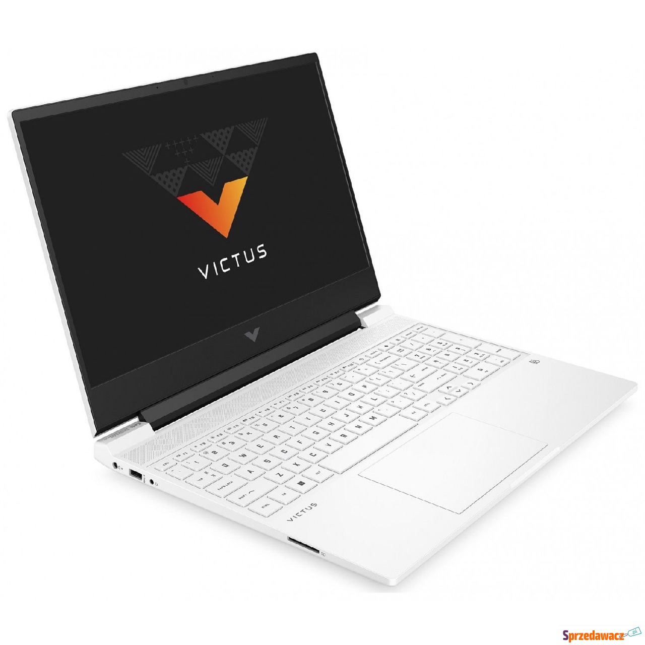 HP Victus 15 - Ryzen 5 8645HS |...