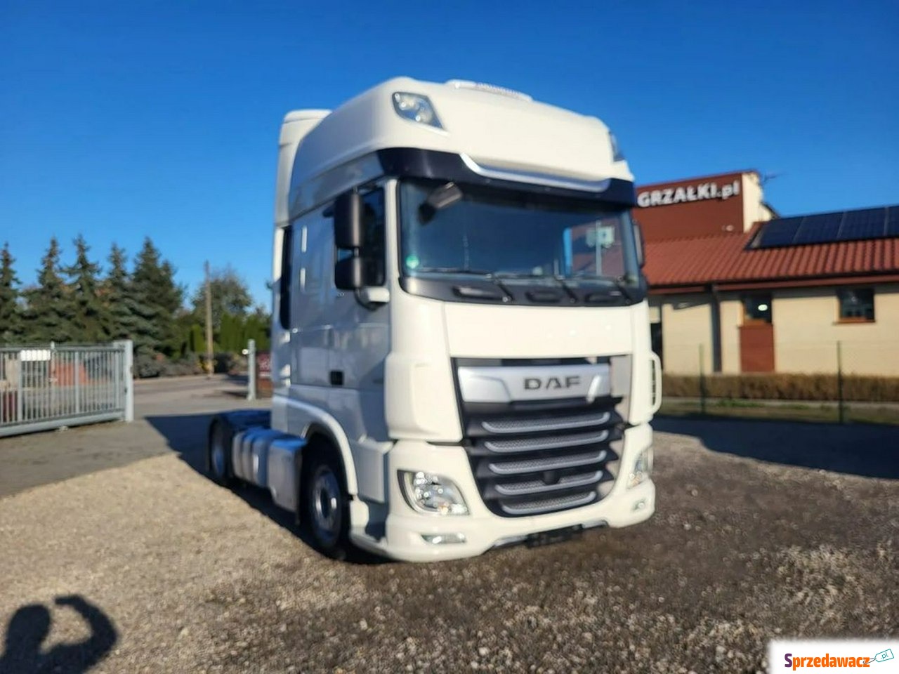 DAF 2020