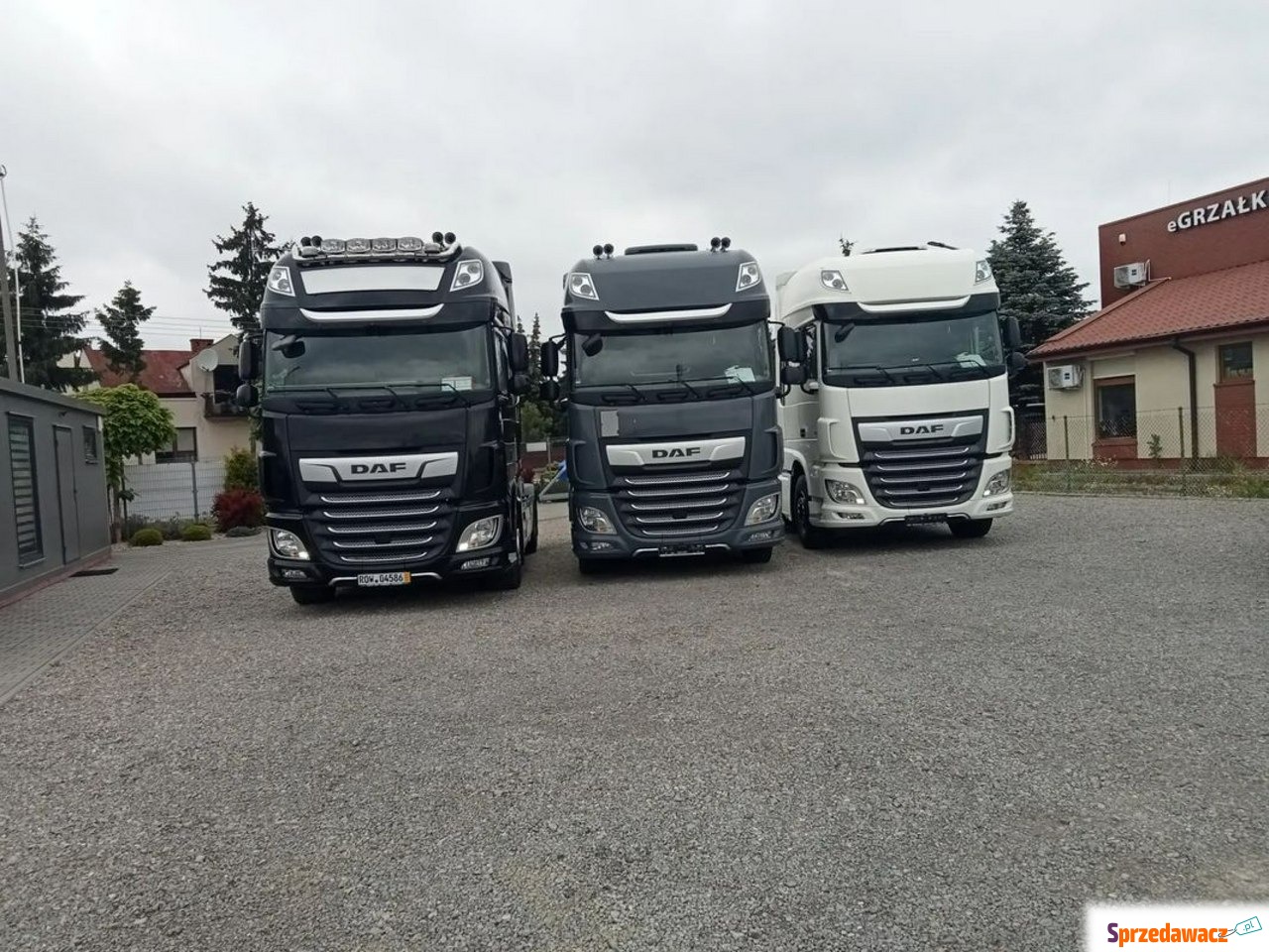 DAF 2020