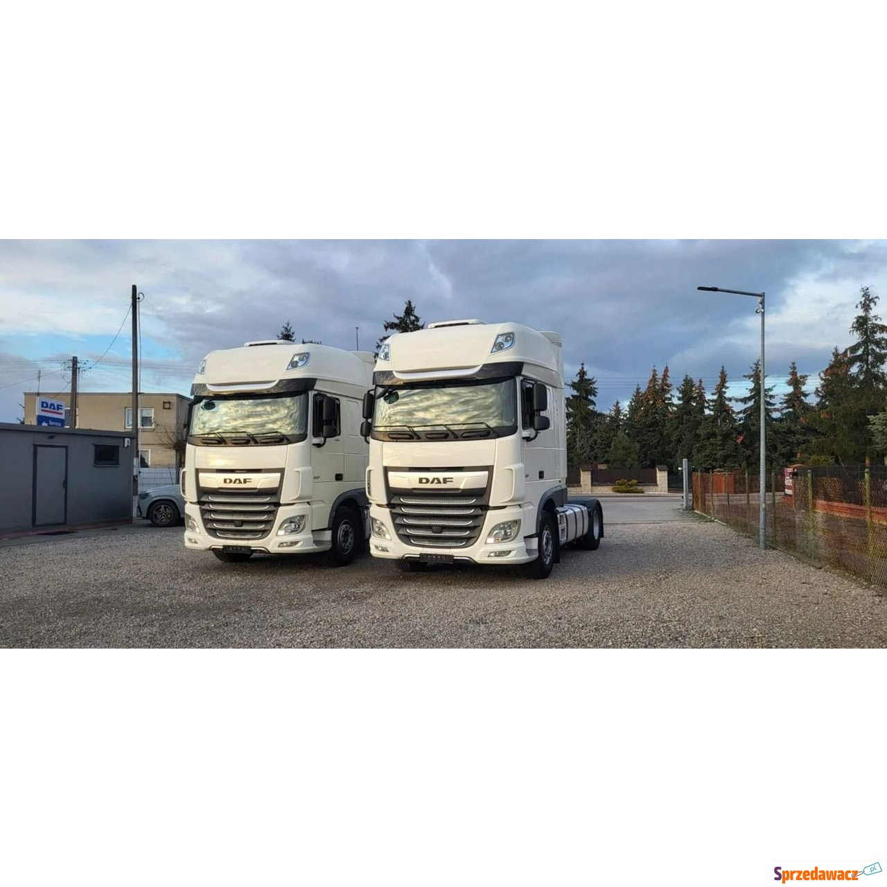 DAF 2020