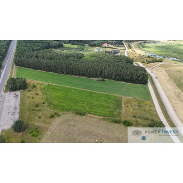 Działka inwestycyjna Dąbcze sprzedam, pow. 14 957 m2  (1.5ha) - zdjęcie 6