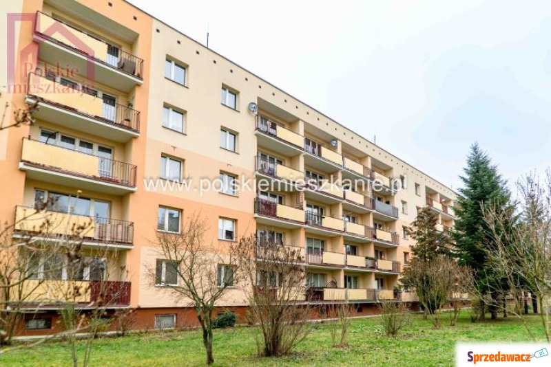 2-pok.mieszkanie 48m, Grunwaldzka,...