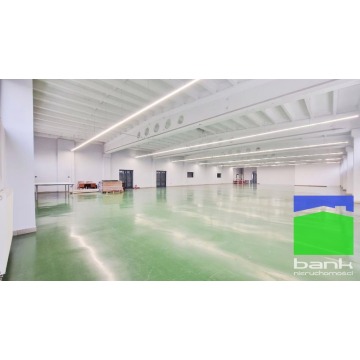 Pabianice - magazyn 670 m2 Ip. winda towarowa - Lokale użytkowe do w... - Pabianice - zdjęcie 4