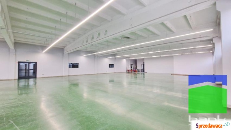 Pabianice - magazyn 670 m2 Ip. winda towarowa - Lokale użytkowe do w... - Pabianice
