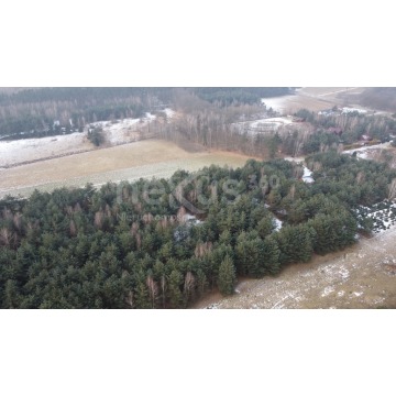 Działka budowlana Drogoszowice sprzedam, pow. 1540 m2  (15.4a) - zdjęcie 8