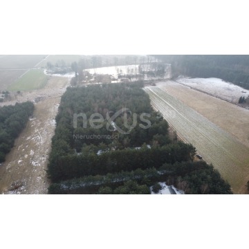 Działka budowlana Drogoszowice sprzedam, pow. 1540 m2  (15.4a) - zdjęcie 3