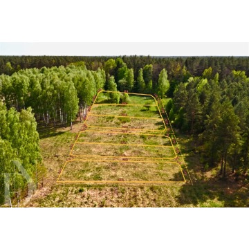 Działki z MPZP Puszcza Białowieska, Rzeka Narew