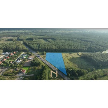 Działka inwestycyjna Gorzów Wielkopolski sprzedam, pow. 13 400 m2  (1.34ha) - zdjęcie 5