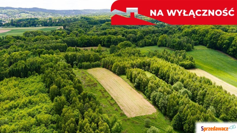 3 działki rolne na sprzedaż |...