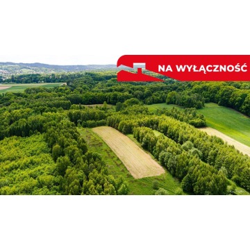 3 działki rolne na sprzedaż | Skrzyszów | 1,56 ha