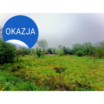 Działka budowlana Zawonia sprzedam, pow. 18 800 m2  (1.88ha) - zdjęcie 5