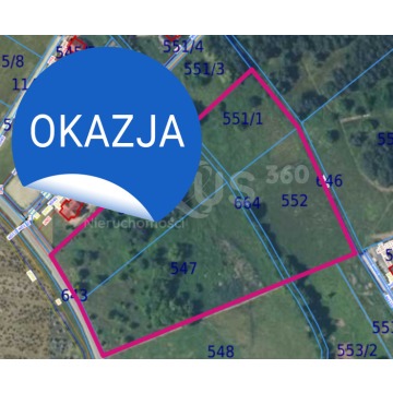 Działka budowlana Zawonia sprzedam, pow. 18 800 m2  (1.88ha) - zdjęcie 3