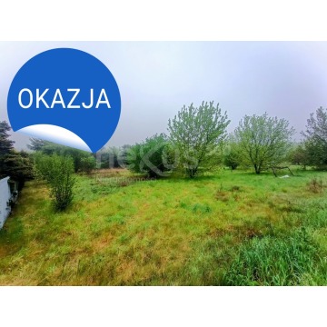 Działka budowlana Zawonia sprzedam, pow. 18 800 m2  (1.88ha) - zdjęcie 4
