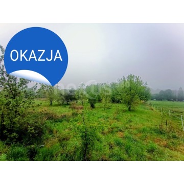 Działka budowlana Zawonia sprzedam, pow. 18 800 m2  (1.88ha) - zdjęcie 6