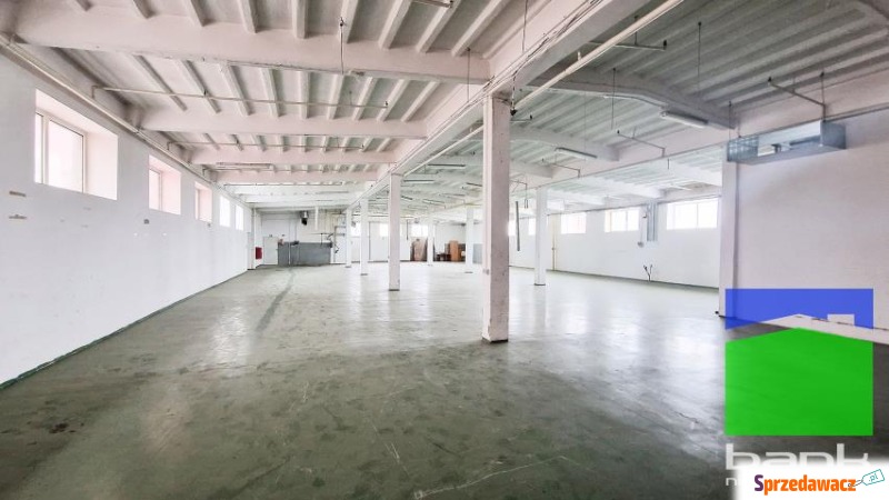 Pabianice - do wynajęcia pow. magazynowa 900 m2... - Lokale użytkowe do w... - Pabianice
