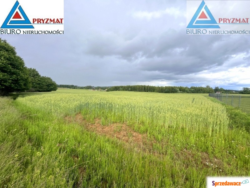 SPRZEDAM DZIAŁKĘ - GADY
