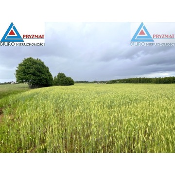 Działka budowlana Gady sprzedam, pow. 3249 m2  (32.5a) - zdjęcie 7