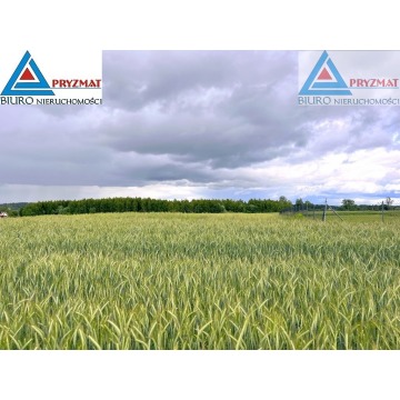 Działka budowlana Gady sprzedam, pow. 3249 m2  (32.5a) - zdjęcie 3