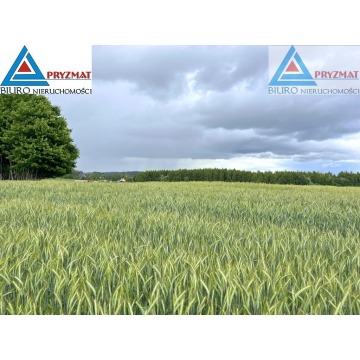 Działka budowlana Gady sprzedam, pow. 3249 m2  (32.5a) - zdjęcie 4