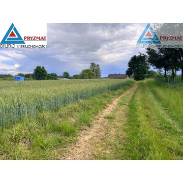 Działka budowlana Gady sprzedam, pow. 3249 m2  (32.5a) - zdjęcie 6