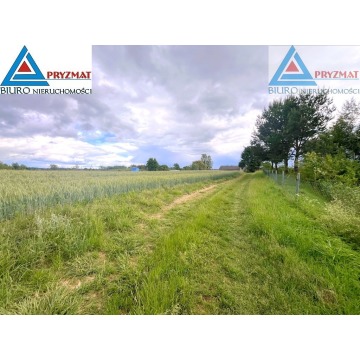 Działka budowlana Gady sprzedam, pow. 3249 m2  (32.5a) - zdjęcie 5