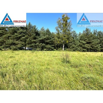 Działka Maruny sprzedam, pow. 1004 m2  (10a) - zdjęcie 5