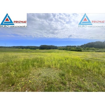 Działka rolna Biesówko sprzedam, pow. 39 200 m2  (3.92ha) - zdjęcie 7