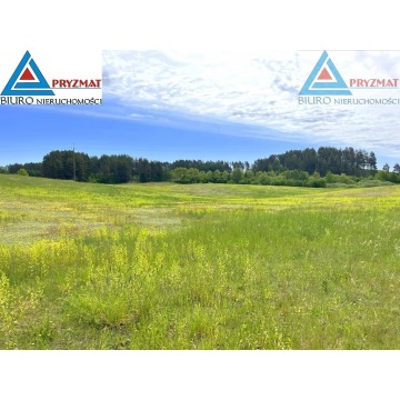 Działka rolna Biesówko sprzedam, pow. 39 200 m2  (3.92ha) - zdjęcie 1