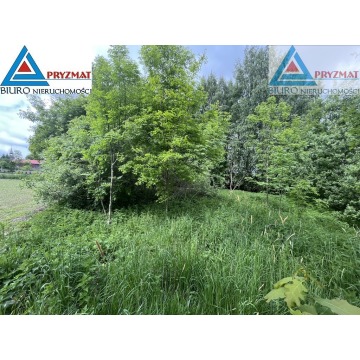 Działka budowlana Wilczkowo sprzedam, pow. 18 448 m2  (1.84ha) - zdjęcie 8