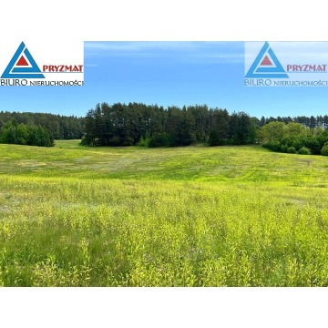 Działka rolna Biesówko sprzedam, pow. 39 200 m2  (3.92ha) - zdjęcie 8