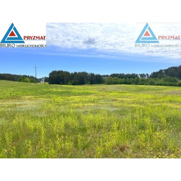 Działka rolna Biesówko sprzedam, pow. 39 200 m2  (3.92ha) - zdjęcie 6