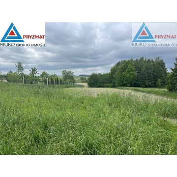 Działka budowlana Wilczkowo sprzedam, pow. 18 448 m2  (1.84ha) - zdjęcie 3
