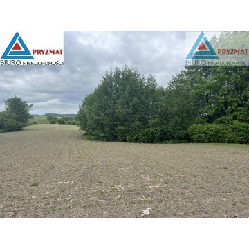 Działka budowlana Wilczkowo sprzedam, pow. 18 448 m2  (1.84ha) - zdjęcie 4