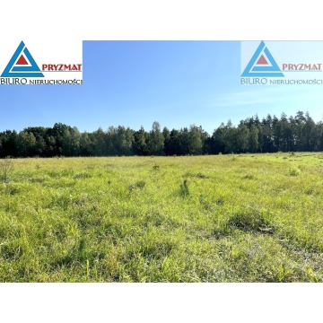 Działka Maruny sprzedam, pow. 1004 m2  (10a) - zdjęcie 4