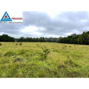 Działka Maruny sprzedam, pow. 944 m2  (9.4a) - zdjęcie 4