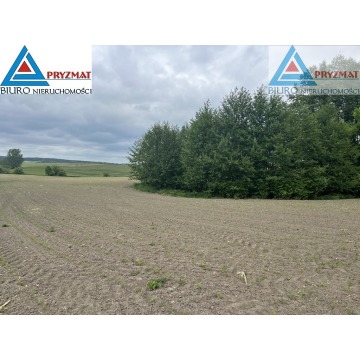 Działka budowlana Wilczkowo sprzedam, pow. 18 448 m2  (1.84ha) - zdjęcie 6