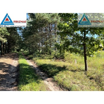 Działka Maruny sprzedam, pow. 1004 m2  (10a) - zdjęcie 7